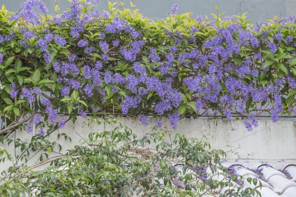 Morada Das Flores Porto Alegre Dış mekan fotoğraf