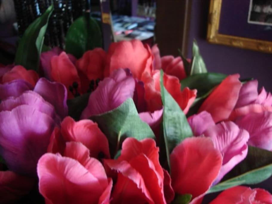 Morada Das Flores Porto Alegre Dış mekan fotoğraf